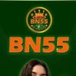 Bn55 game