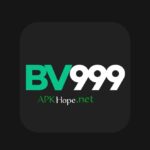 BV999 Game