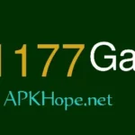 K1177 Game