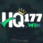 HQ177 Game