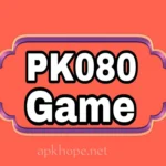 PK080 Game