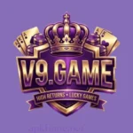 V9 Game