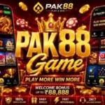 Pak 88 Game